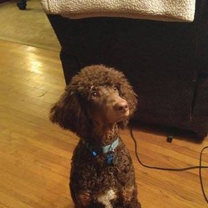 Meet your Posher, Lisa